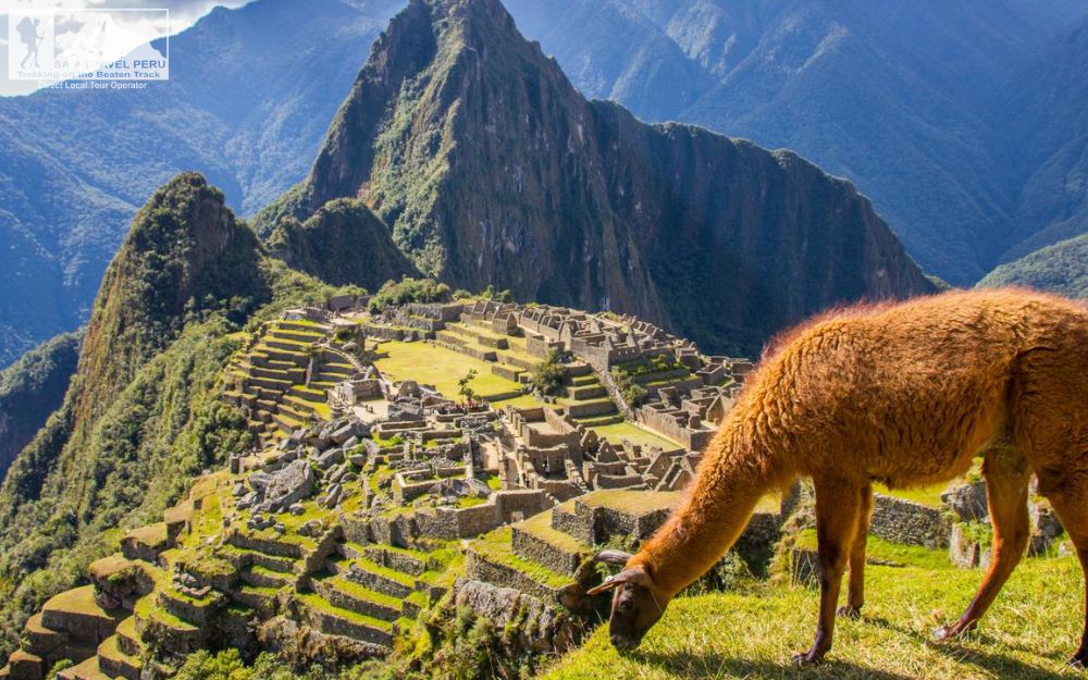 Machu Picchu