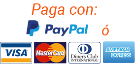 Pay with Paypal or Visa, Mastercard