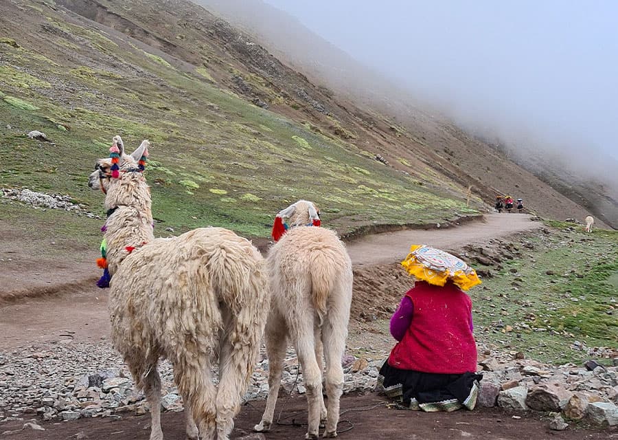 Caminata a la Montaña de Arco Iris